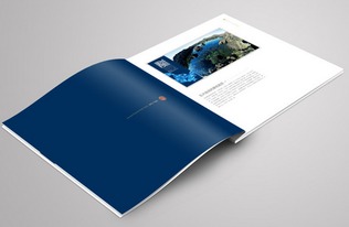 畫冊印刷設(shè)計(jì)的基本原則與圖文制作精要